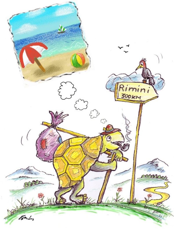 B9407_2_Turtle_on_Tour.jpg
