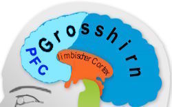 Grosshirn