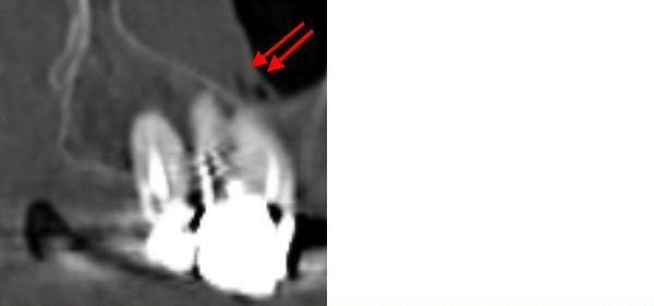 50DVT2025.jpg